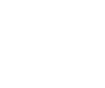Irish United Nations Veterans Association