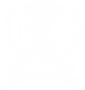 Irish United Nations Veterans Association